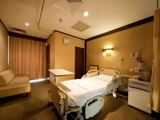 Mount Elizabeth hospital maternity ward